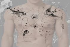 an image of a man with birds on his chest and the diagram above him shows that he is surrounded by other animals