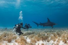 a man scubas in the ocean with a shark and another person holding a camera