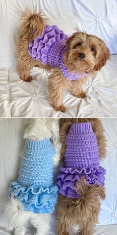 two pictures of a dog wearing sweaters on top of a bed, one in blue and the other in purple