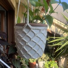 a potted plant hanging from a rope in front of a house with green plants