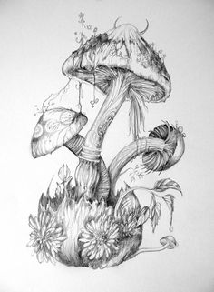 a pencil drawing of mushrooms and flowers