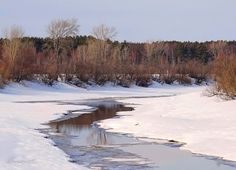 there is a small stream in the middle of snow covered ground and trees behind it