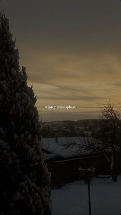 the sun is setting behind a snowy tree and some snow - covered bushes in front of a house