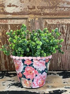 a potted plant sitting on top of a wooden table next to an old door