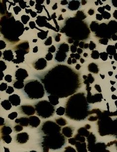 an animal print with black spots on it