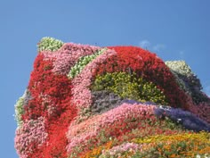 colorful flowers are growing on the side of a building in front of a blue sky