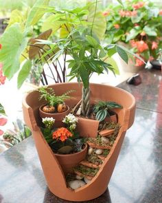 🍁🧡Spring at the Greenhouse 2022 Micro, Small, Intimate, Tiny Wedding Venue  Virginia🍁🧡 Broken Pot Garden, Fairy Garden Containers, Plants Indoor, Garden Containers, House Plants Decor