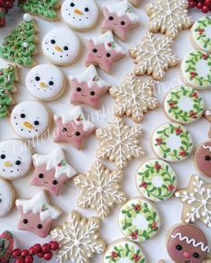 many decorated christmas cookies on a white surface with holly and snowflakes around them