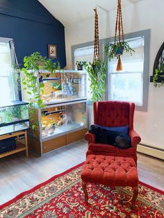 a red chair sitting on top of a wooden floor next to a window filled with plants