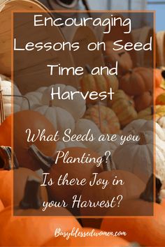 pumpkins and gourds with the words encouraging lessons on seed time and harvest what seeds are you planting? is there joy in your harvest?