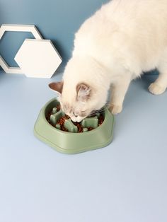 a white cat eating food out of a green bowl on top of a blue table