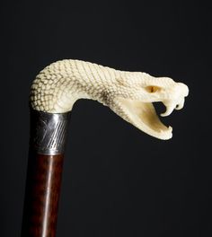 a white snake head on top of a wooden stick