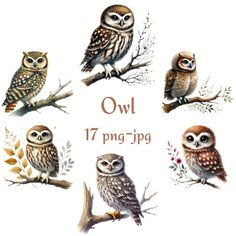 an owl is sitting on a tree branch with other owls around it and the words owl 17 png jpg