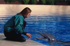 a woman kneeling down next to a dolphin