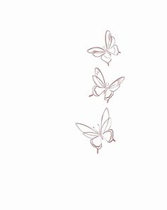 three butterflies flying in the air on a white background, one is drawn with red ink