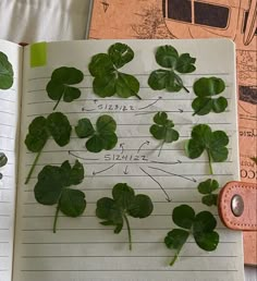 four leaf clovers are arranged on lined notebooks, with writing in the middle