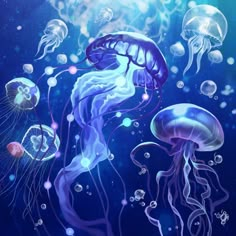 some jellyfish are swimming in the water