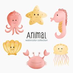 an animal watercolor collection with sea animals