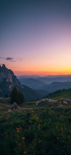 the sun is setting in the mountains with green grass and flowers on the foreground