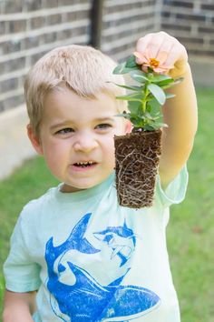 a young boy holding up a potted plant with a flower in it