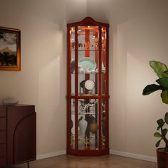 a corner of a room with a glass display case and potted plant in the corner