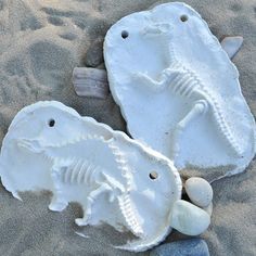 two dinosaur fossils on the sand with rocks