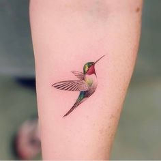 a small hummingbird tattoo on the left thigh and right leg, it's colorful