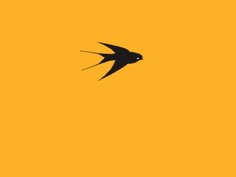 a black bird flying in the sky on a yellow background