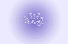 three white butterflies on a purple background