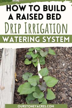 how to build a raised bed drip irrigation water system for your garden or yard with instructions