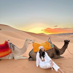 a woman sitting in the desert with two camels