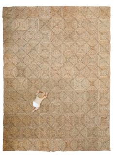 a cat laying on top of a brown rug