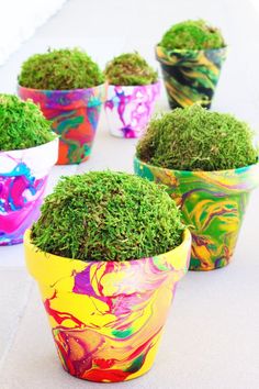 small pots with moss growing in them on the ground next to each other, all painted different colors