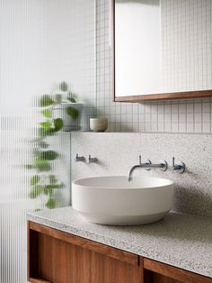 a bathroom sink sitting on top of a counter next to a mirror and potted plant