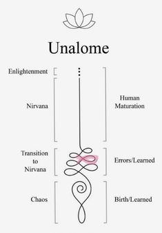 the anatomy of an unilame, with its name and description on it's side