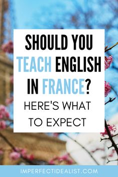 pink flowers with the words should you teach english in france? here's what to expect