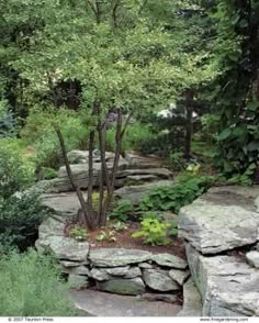 a stone path surrounded by trees and plants in a garden with large rocks on both sides