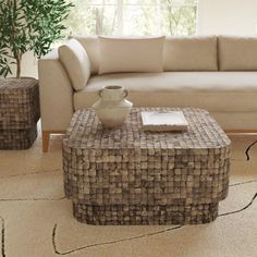 a living room with a couch, coffee table and potted plant