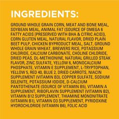 PEDIGREE Complete Nutrition Grilled Steak & Vegetable Flavor Dog Kibble Adult Dry Dog Food, 44-lb bag - Chewy.com Roasted Chicken Rice, Roasted Vegetables With Chicken, Canned Dog Food, Flavored Bacon, Grilled Steak, High Fructose Corn Syrup