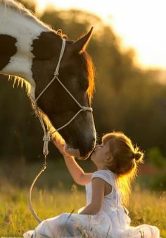 Regnul Animal, Equine Therapy, Horse Ranch, Foto Tips, Horse Photos, Pretty Horses, Horse Photography, Horse Pictures