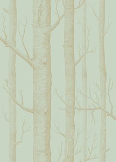 a drawing of trees with no leaves in the woods on a light green wallpaper background