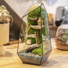 a glass terrarium with moss and rocks in the bottom, sitting on a wooden table