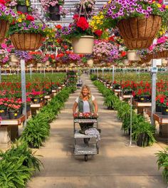 a woman pushing a cart filled with lots of potted plants in a garden center