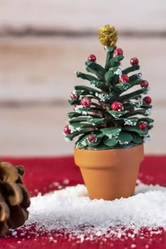 a small pine cone sitting on top of snow covered ground next to a pine cone