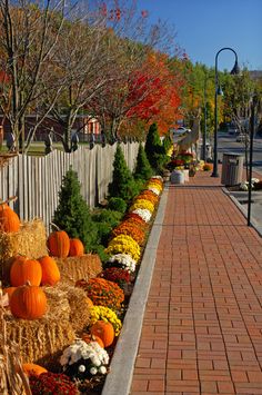 pumpkins and gourds are lined up along the side of a brick road