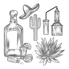 an ink drawing of various items used in the design of hats, bottles and cactuses