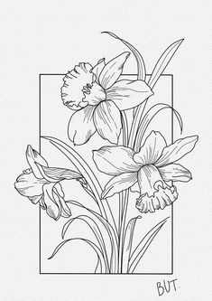 a black and white drawing of daffodils in a square with the words but