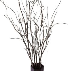 there is a vase with branches in it