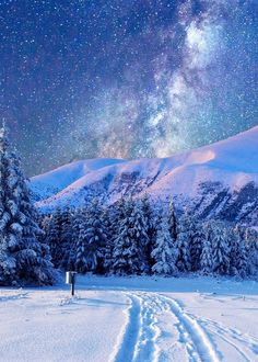 the night sky is filled with stars and snow