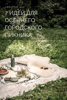 a picnic blanket on the ground with food and drinks laid out on it in front of trees